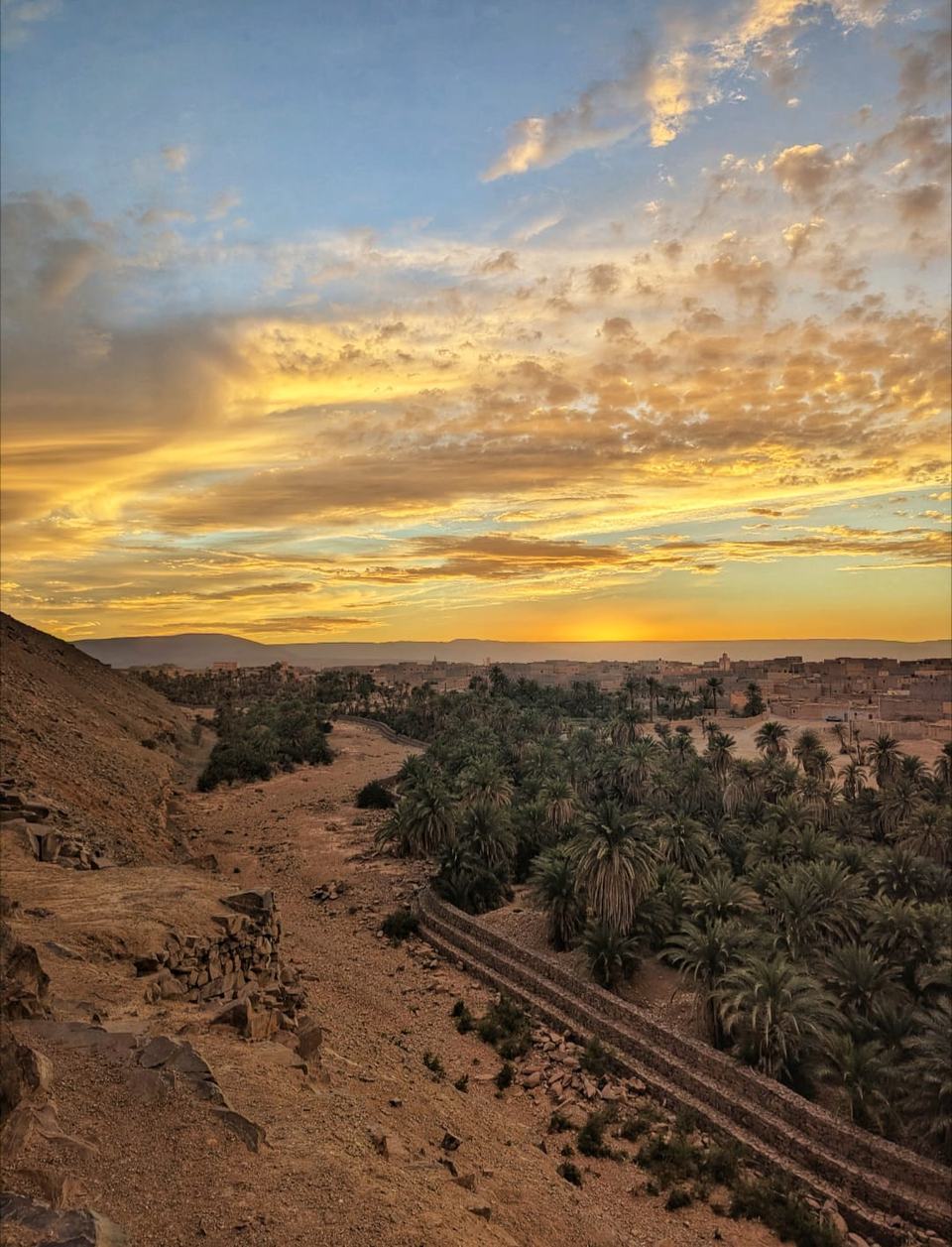 Desert sunset